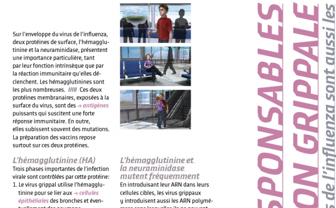 Juste un Virus|Brochure accompagnant un film 3D. Cours de biologie de l'enseignement secondaire supérieur.