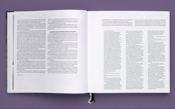 Sedunum Nostrum|Les Mayens de Sion