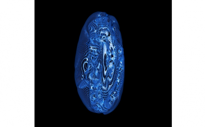 Cedric Bregnard, artiste photographe|Fève de cacao, imagerie médicale, 70 x 125 cm