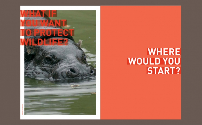 SOS Save Our Species|Activity Report