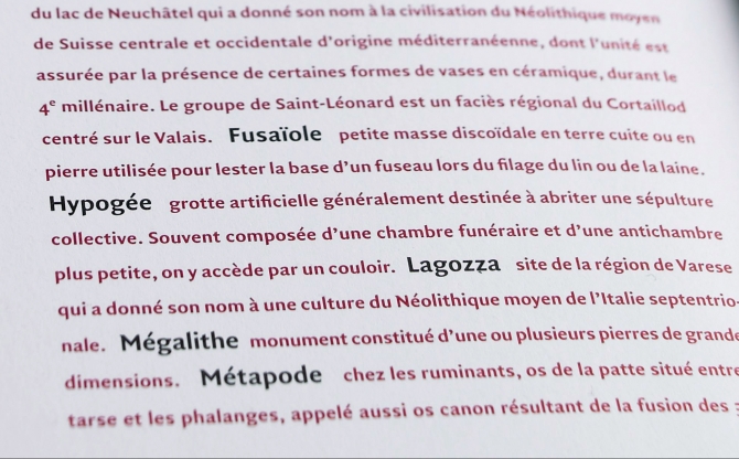Sedunum Nostrum|Les saisons du Petit-Chasseur